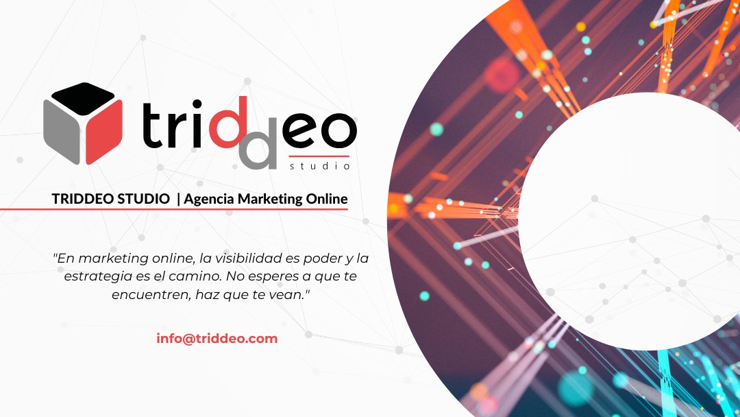 Agencia de Marketing Digital Zaragoza - 16